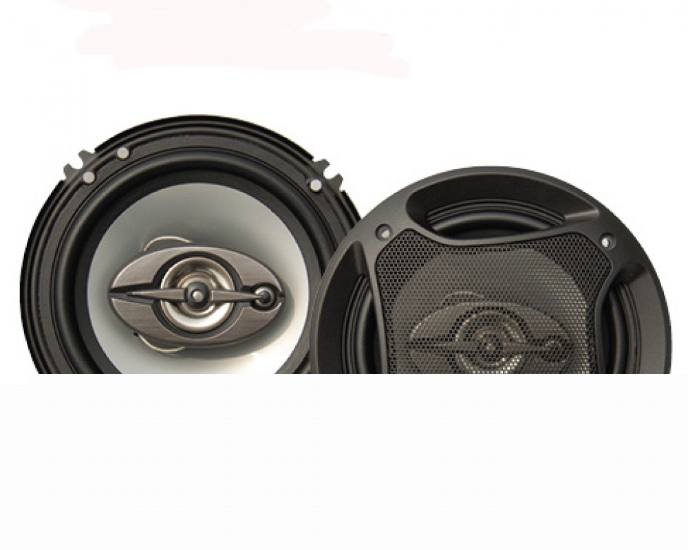 Coaxial Speaker