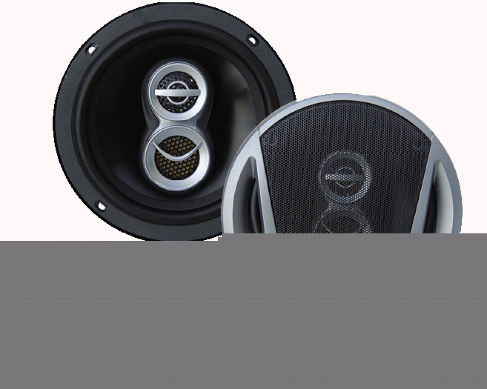 Coaxial Speaker