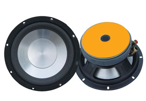 Car Subwoofer